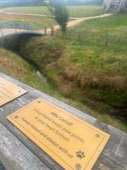 Boardwalk Plaque