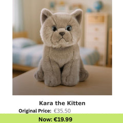 Kara the Kitten