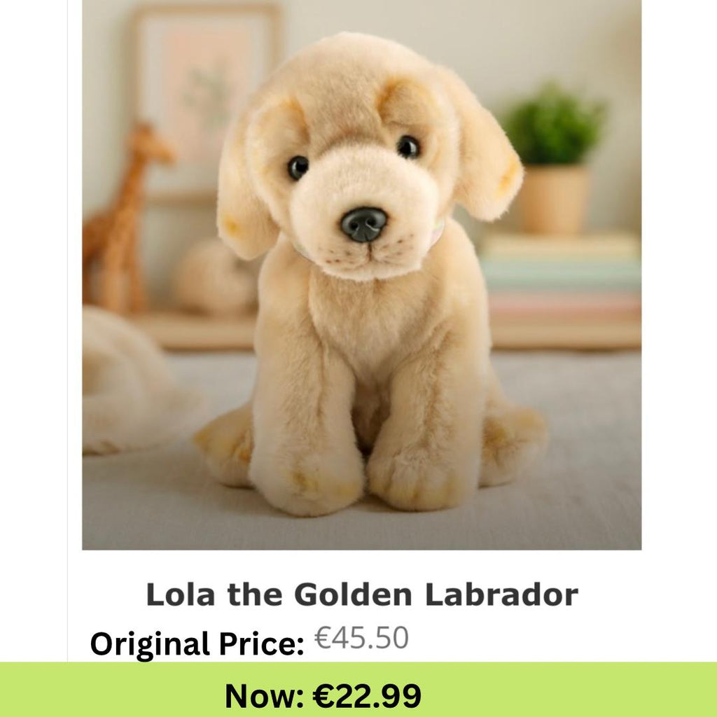 Lola the Golden Labrador