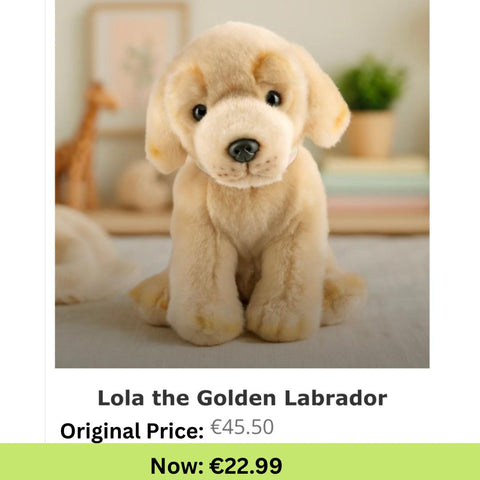 Lola the Golden Labrador