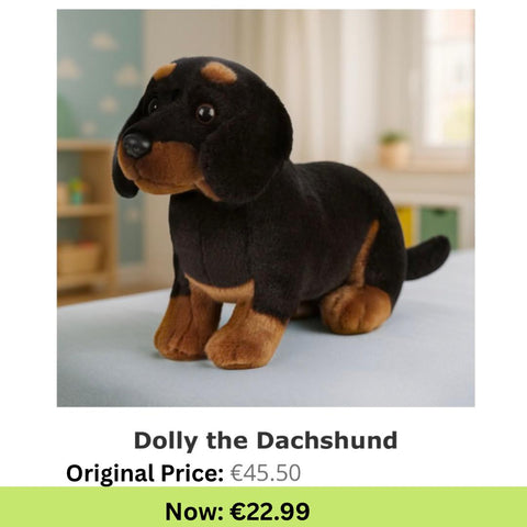 Dolly the Dachshund