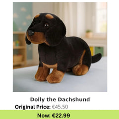 Dolly the Dachshund