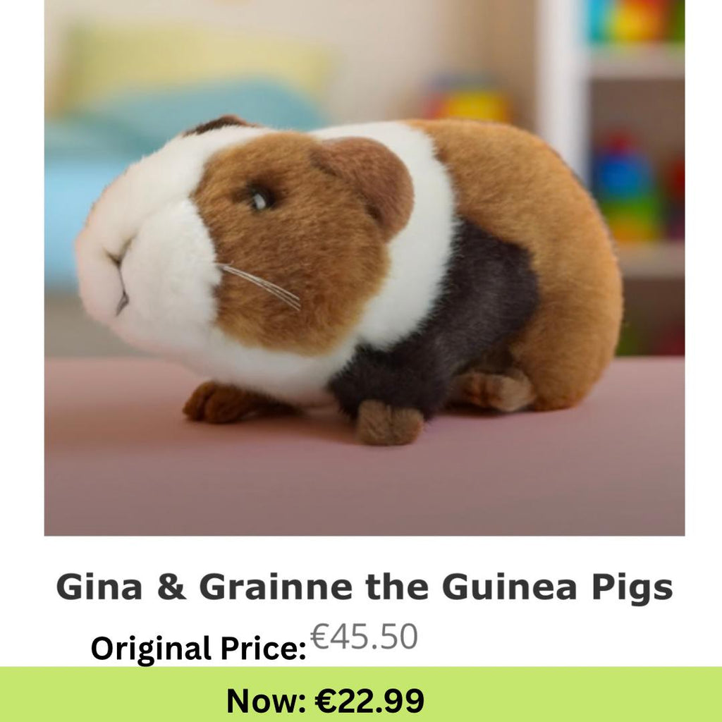 Gina & Grainne the Guinea Pigs