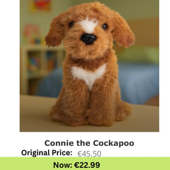 Connie the Cockapoo