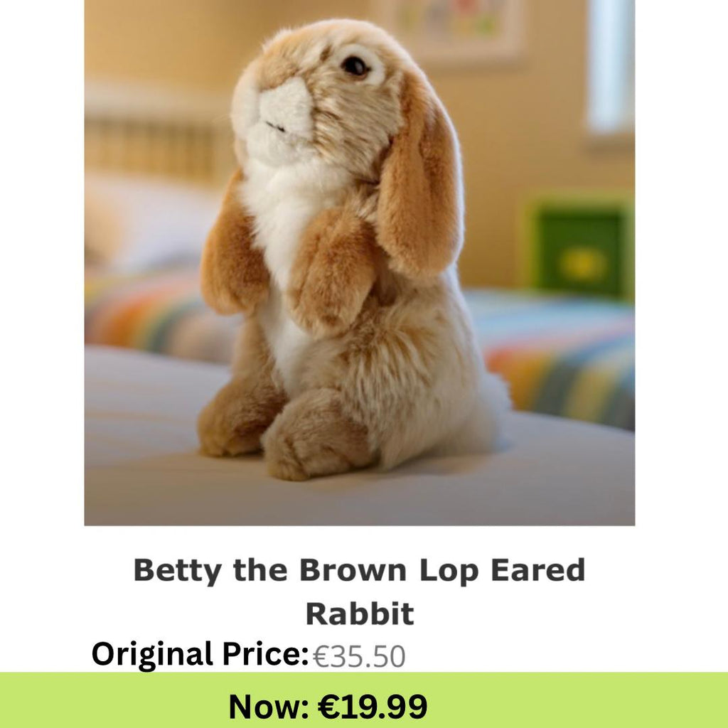 Betty the Brown Lop Eared Rabbit