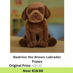 Beatrice the Brown Labrador Puppy