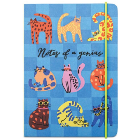 Notes of a Genius Notebook