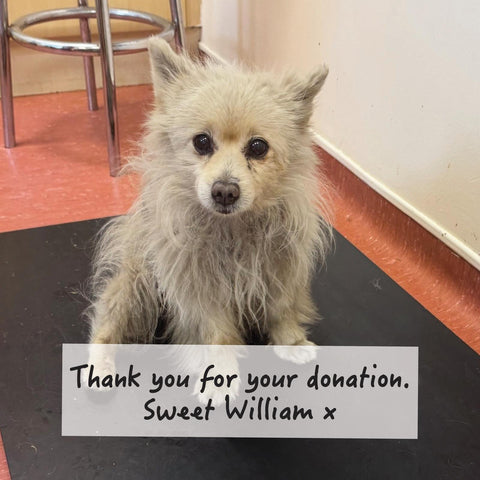 Donate Now