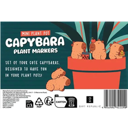 Mini Capybara Plant Pot Markers – Set of 4