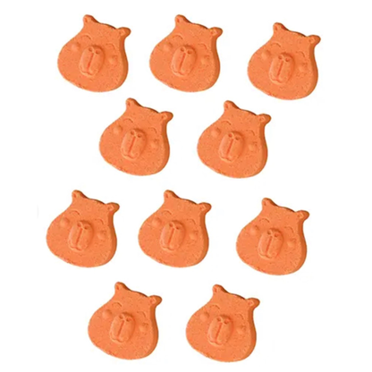 Capybara Bath Bomb