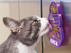 Kong Licks Kitty