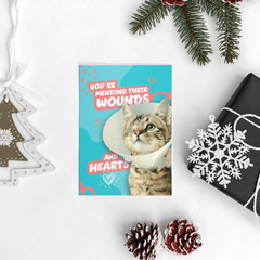 You're Mending Their Wounds and Hearts