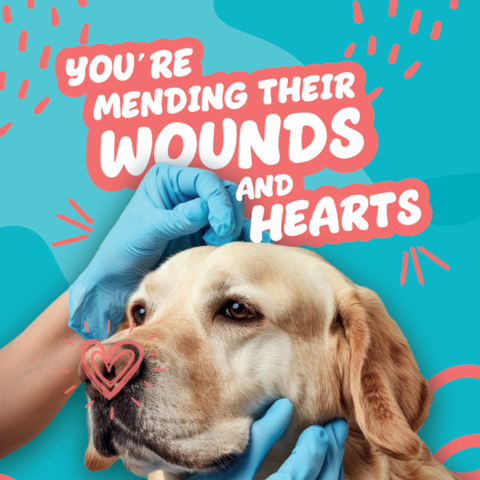 You're Mending Their Wounds and Hearts