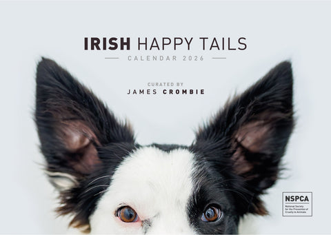 Irish Happy Tails Calendar 2026