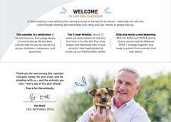 Irish Happy Tails Calendar 2026