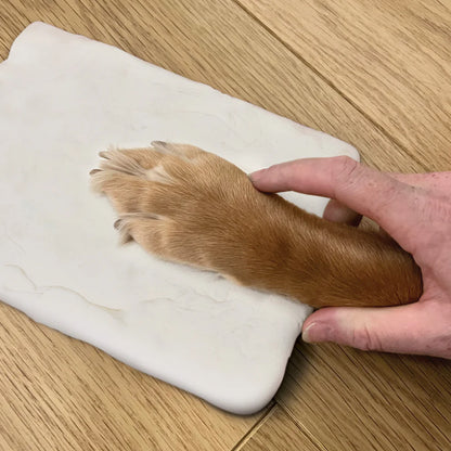 Paws in Time with Photo Frame