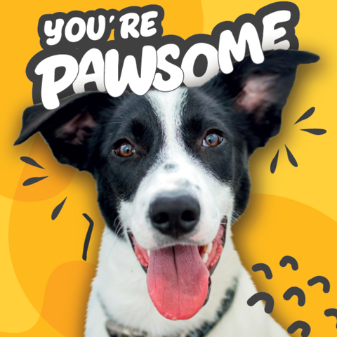 You're Pawsome!
