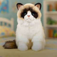 Rita the Ragdoll
