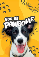 You're Pawsome!