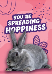 You're Spreading Hoppiness