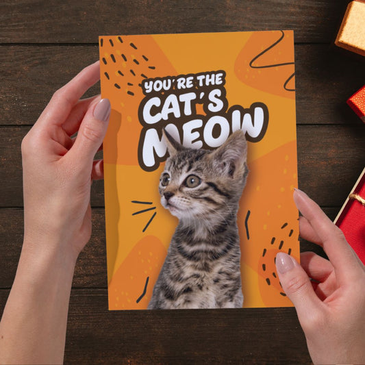You're The Cat's Meow!