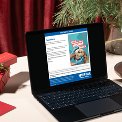 You're Mending Their Wounds and Hearts