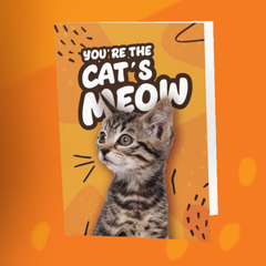You're The Cat's Meow!