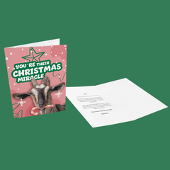 You're Their Christmas Miracle