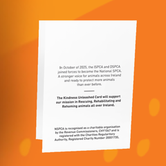 You're The Cat's Meow!