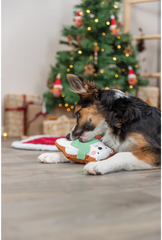 Christmas Plush Bear Dog Toy