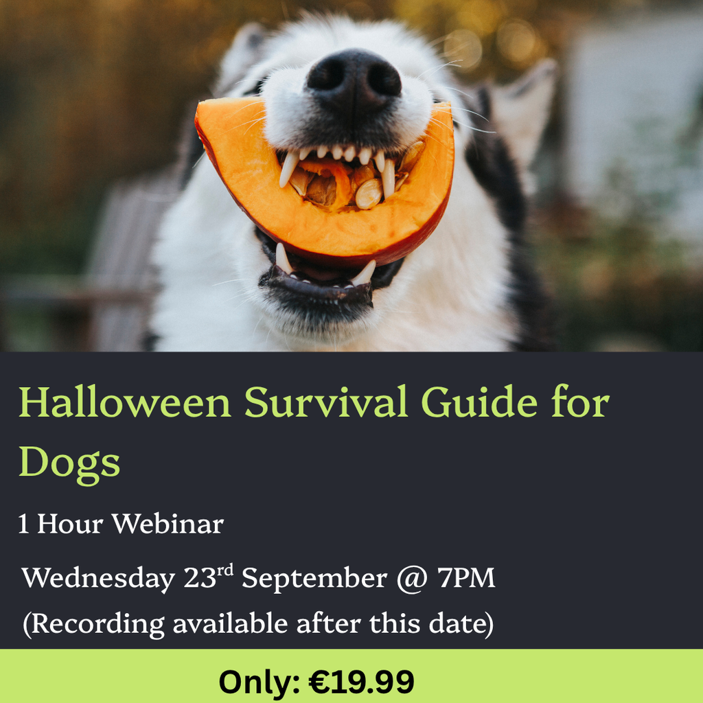 Halloween Survival Guide for Dogs - Online Webinar