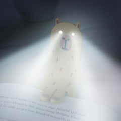 Capybara Reading Light & Bookmark