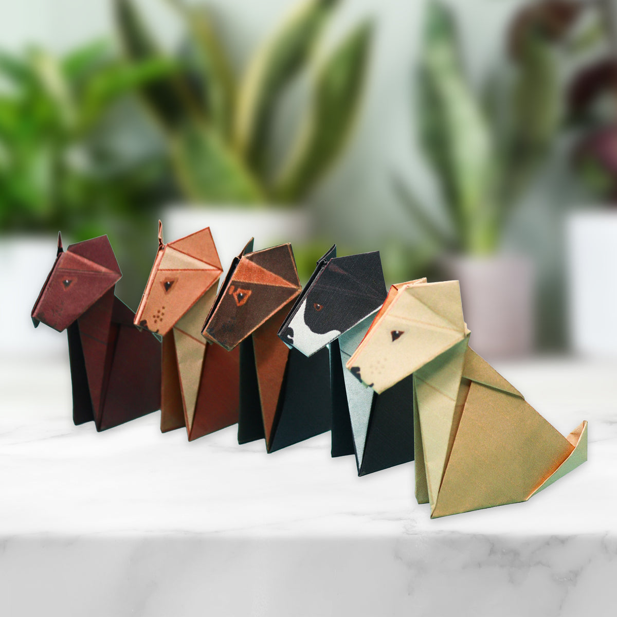 Dog Origami