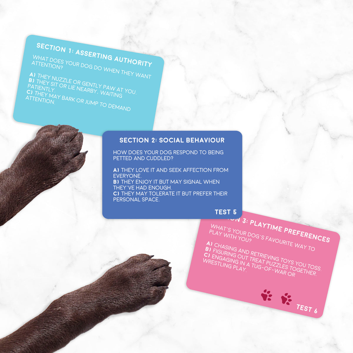 Dog Personality Test