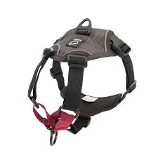 Baumutt No Pull Harness - Dusk