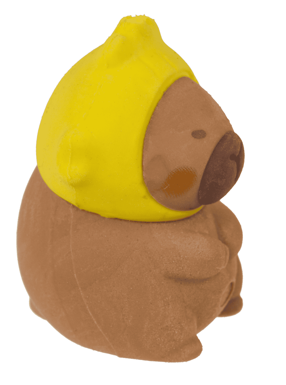 Capybara Eraser Pack