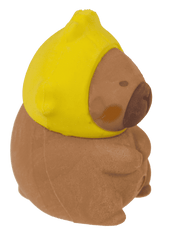 Capybara Eraser Pack
