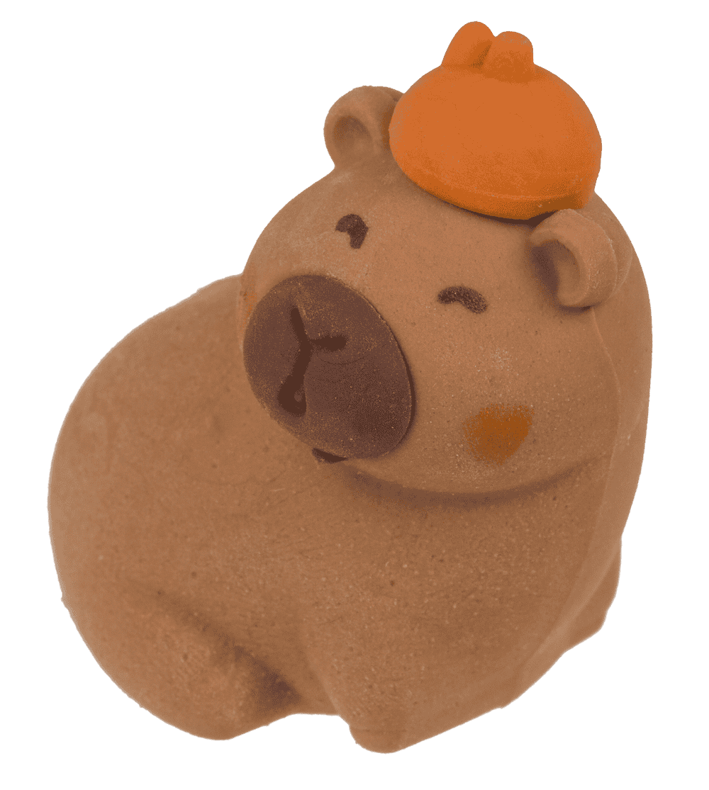 Capybara Eraser Pack