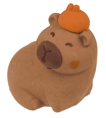 Capybara Eraser Pack