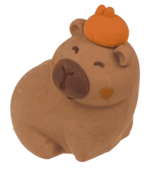 Capybara Eraser Pack