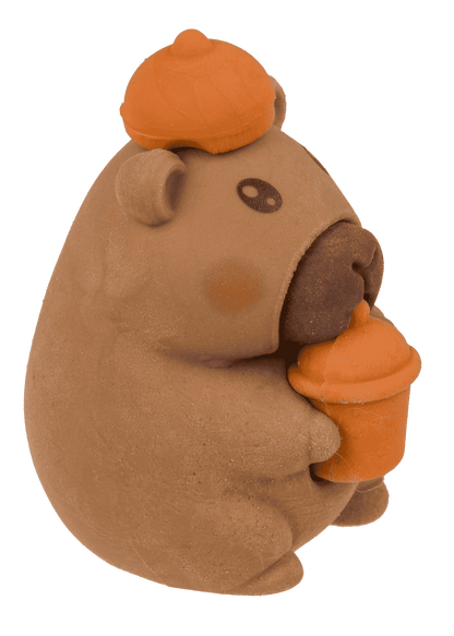 Capybara Eraser Pack