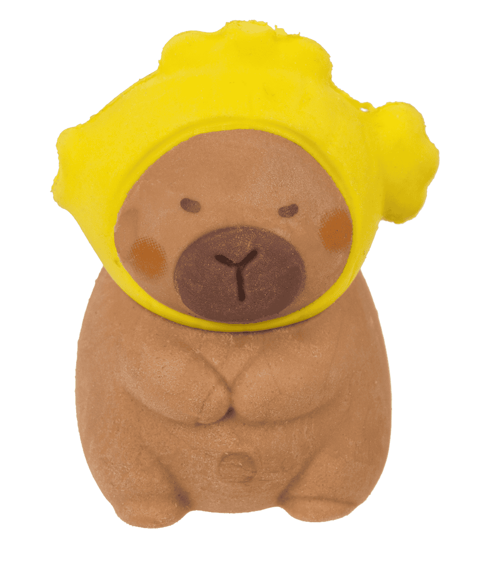 Capybara Eraser Pack