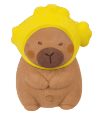 Capybara Eraser Pack