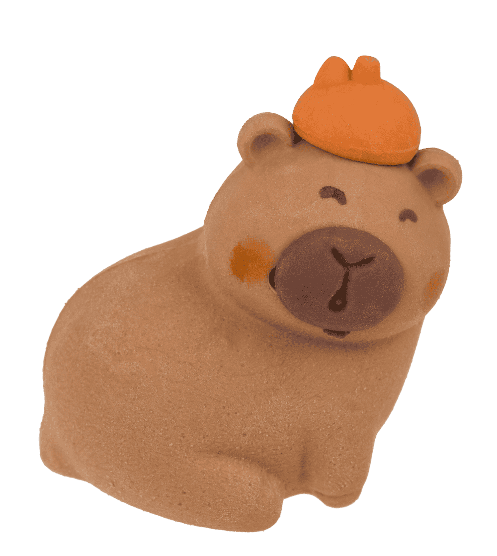 Capybara Eraser Pack