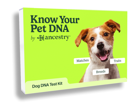 Dog DNA Test Kit