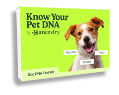 Dog DNA Test Kit