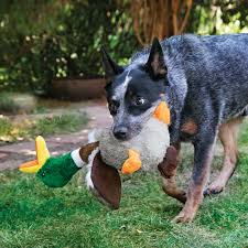 KONG Shakers Honker Duck (Small Dog)