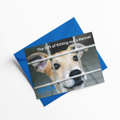The Gift of Kitting out a Kennel
