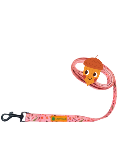 Lucy & Bear Leads