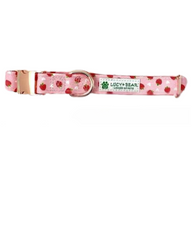 Lucy & Bear Collars